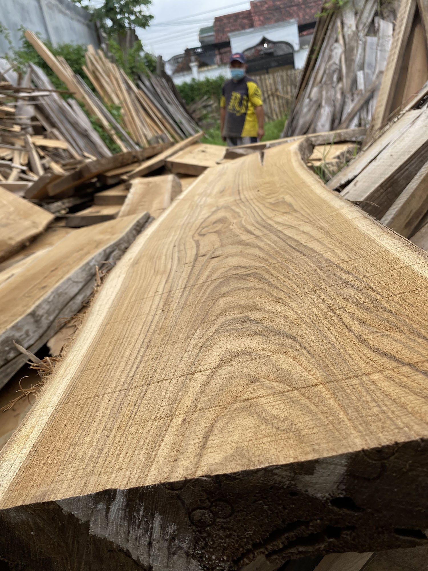 Pemotongan Kayu