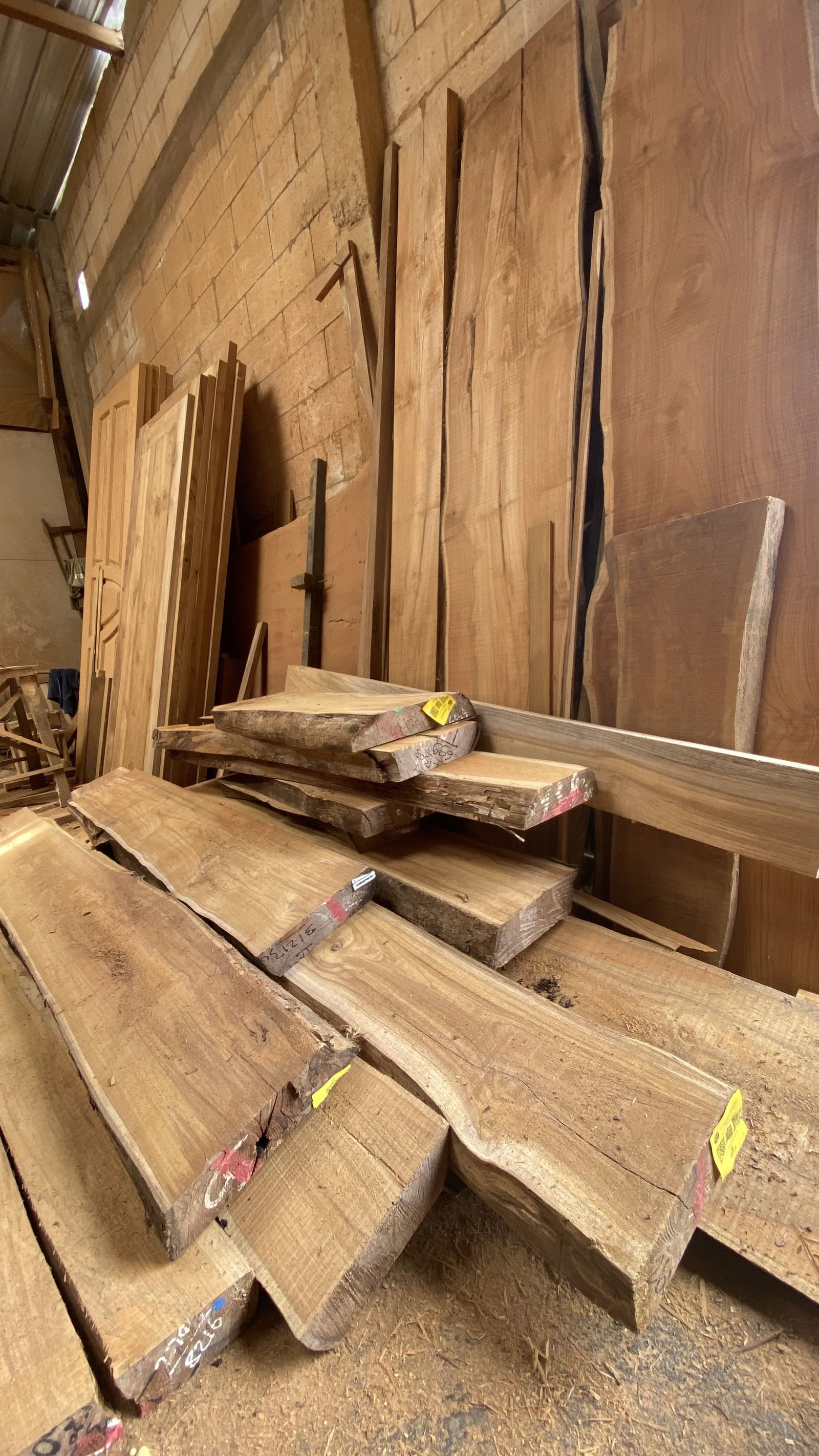 Kayu Jati 3